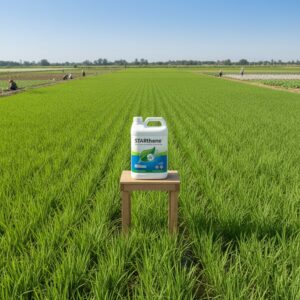 Starthene Insecticide – Effective Control of Sucking Pests